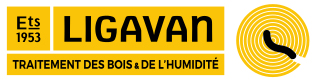 Ligavan